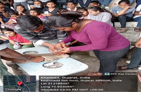 Gallery Of | Kosmada government fish farm | Field VisitSir P. T ...
