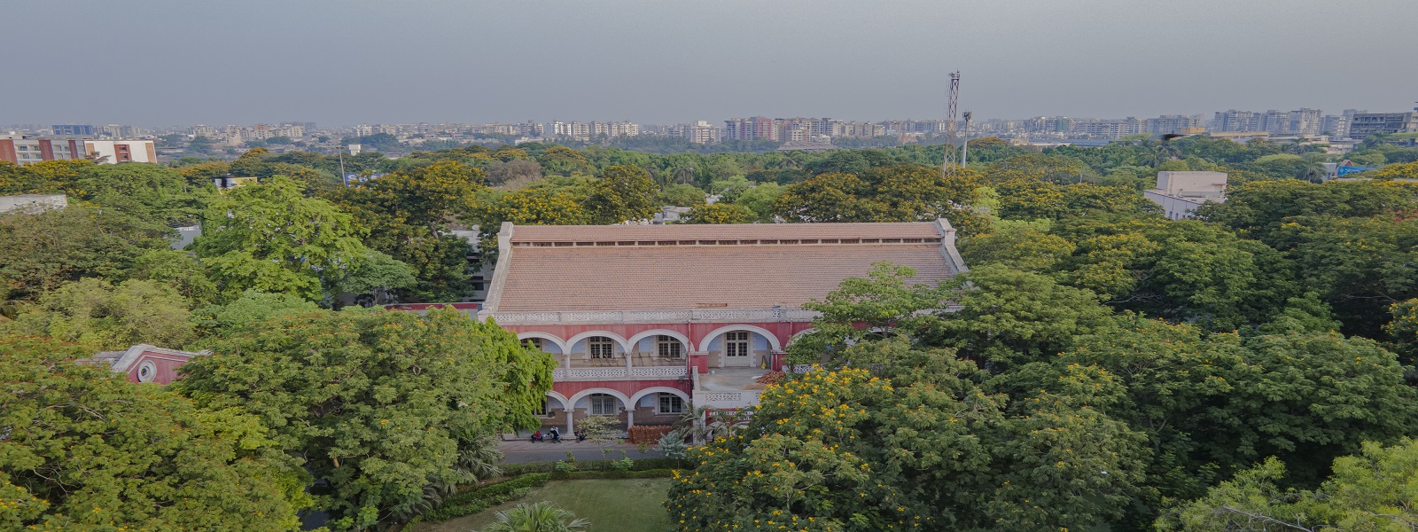 Top View Library